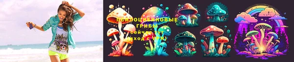 стафф Алексеевка