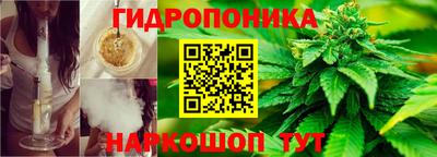 крисы Лесосибирск