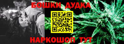 крисы Лесосибирск