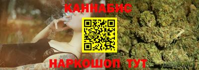 крисы Лесосибирск