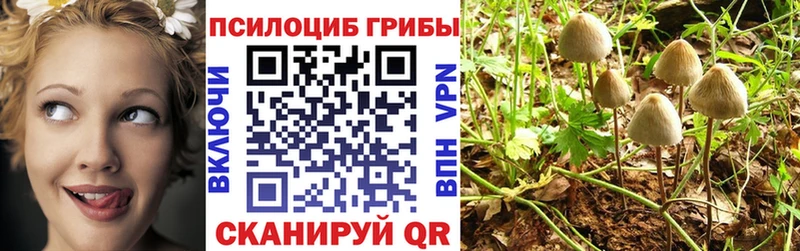Галлюциногенные грибы мухоморы  Еманжелинск 